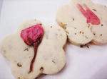 cookie.jpg