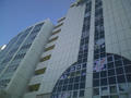 CA3E0273.jpg