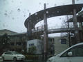 CA3E0318.jpg