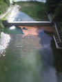 20120711.jpg