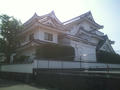 CA3E0409.jpg