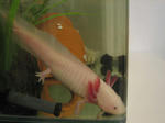 IMG_42972.JPG