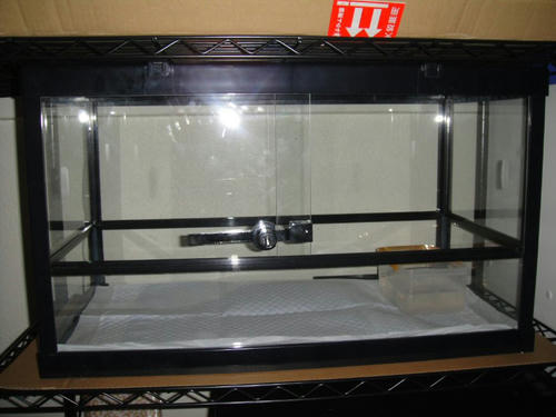Image40.jpg