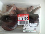 2008031510380000.jpg