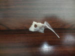 2008031512180000.jpg