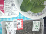 P1000025.jpg