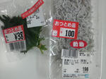 P1000027.jpg