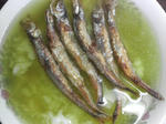 P1000034.JPG