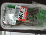 P1000033.JPG