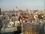 P1000209.jpg