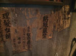 P1000225.jpg