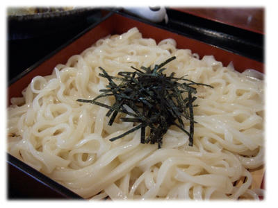 つるつるしこしこうどん