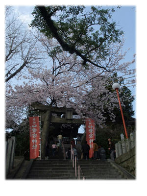 愛宕神社桜まつり