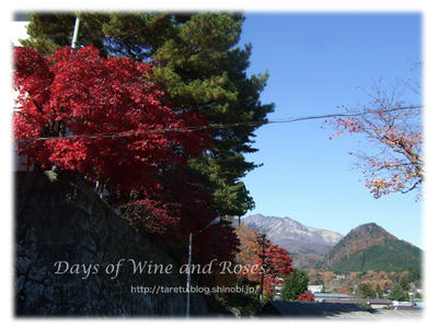 紅葉の日光