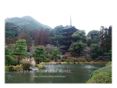 瑠璃光寺1