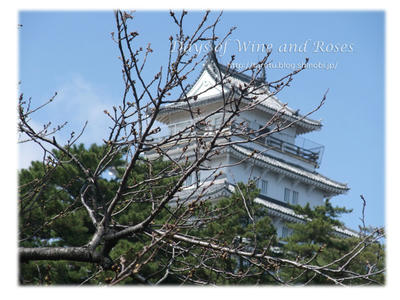 桜と島原城