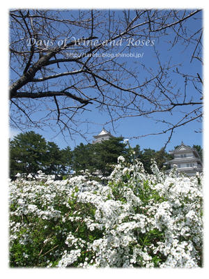 花と島原城