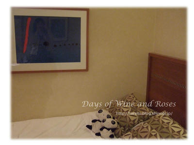 Ricahotel1