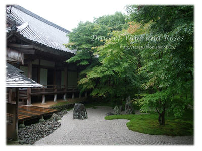 雨の光明禅寺