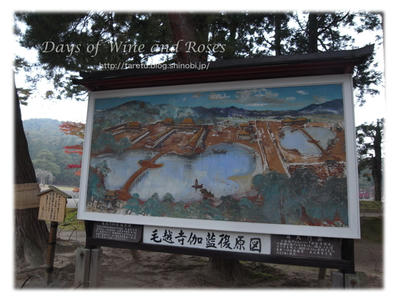毛越寺跡