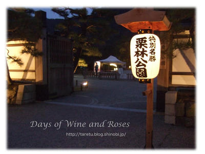 栗林公園の夜桜