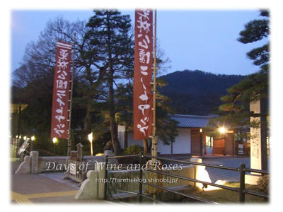 栗林公園の夜桜2