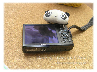 Power shot S90