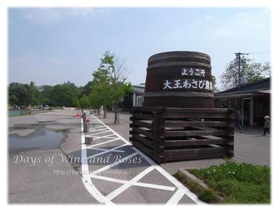 大王わさび農場入口