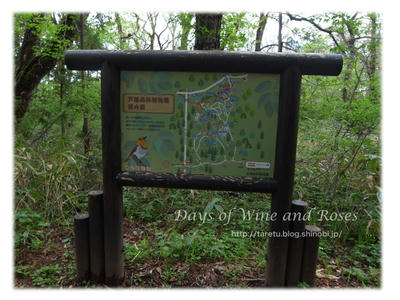戸隠森林植物園