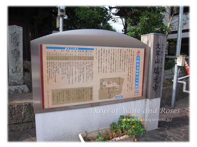 由来