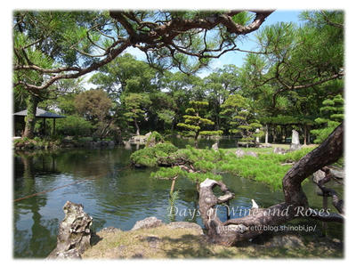 天赦園05