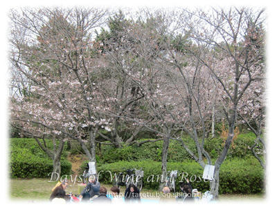 小戸公園