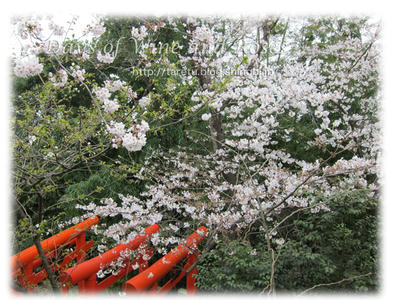 愛宕神社04
