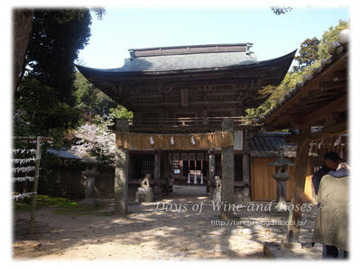 桜井神社