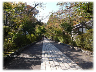 参道