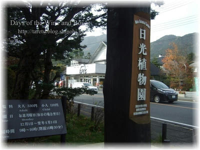 日光植物園看板