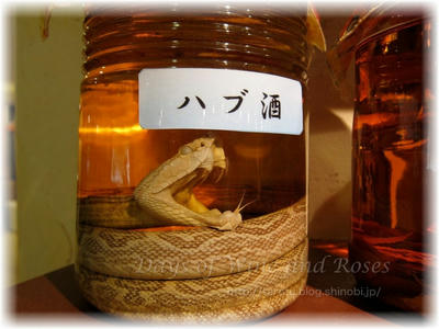 ハブ酒