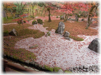 石庭と落ち葉