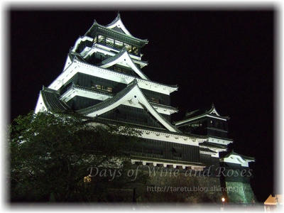 夜の熊本城
