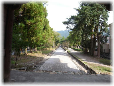 土佐神社参道