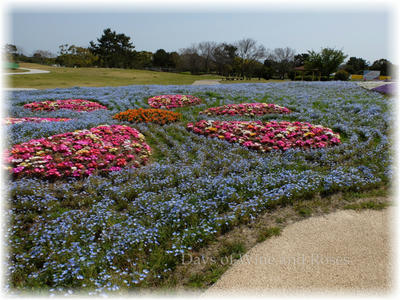 花の模様