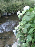 4f329d09.JPG