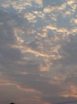 008f4e33.jpg