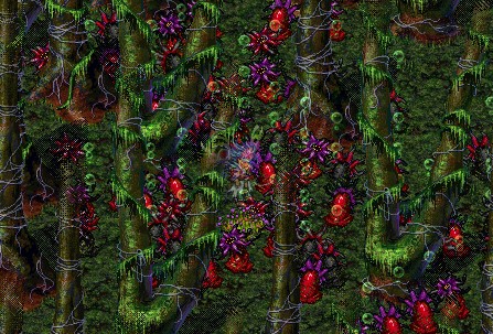 Spore Hunt