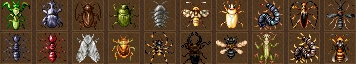 Insects