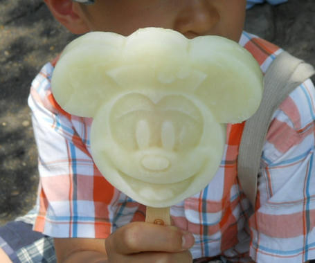 DSCN27780.jpg