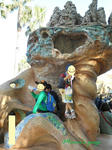 DSCN33410.jpg