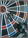 trickshot1.jpg