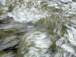 IMG_9663.jpg