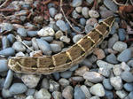 IMG_9674.jpg